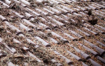 Weston Town roof cleaning companies