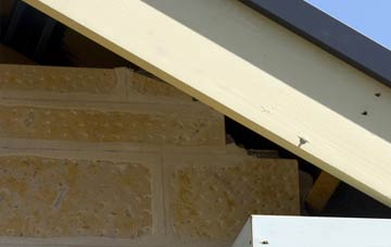 soffit repair Weston Town